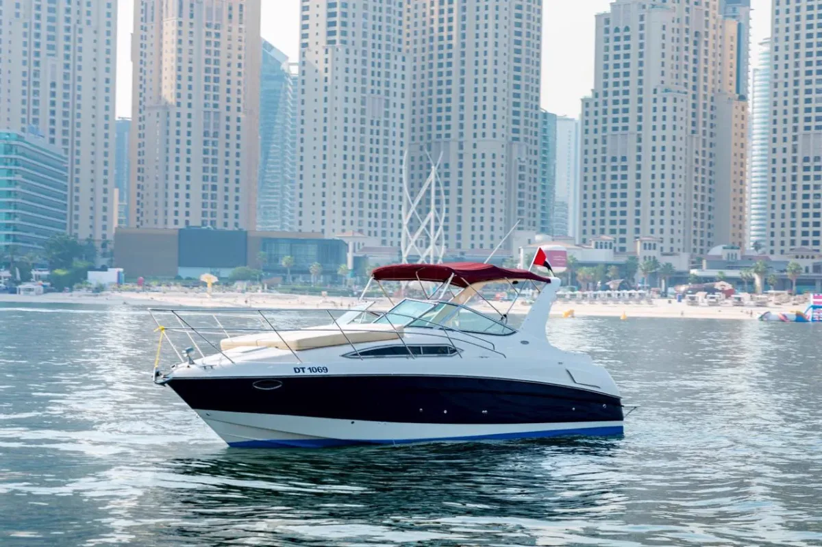 Pulsar 33