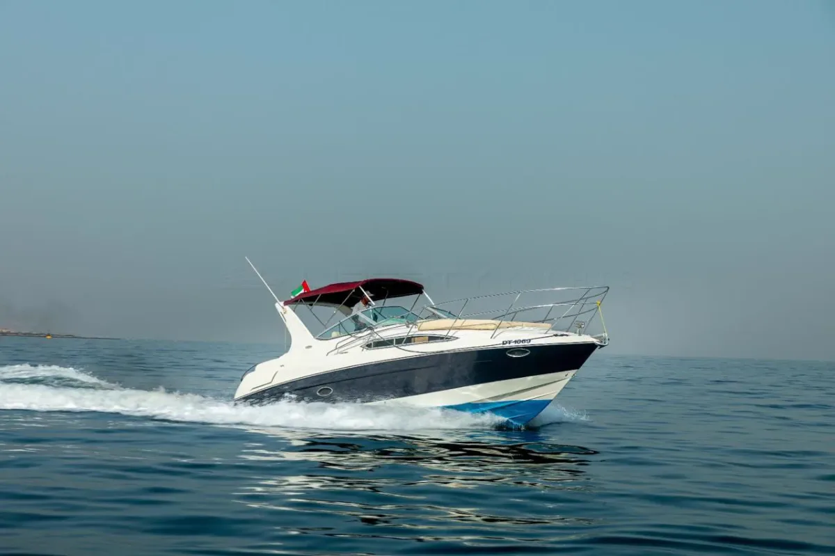Pulsar 33