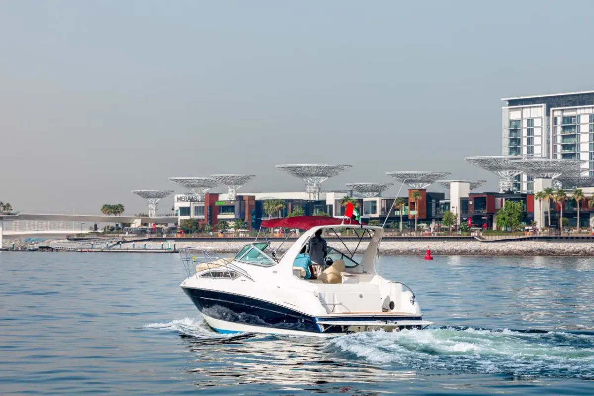 Pulsar 33