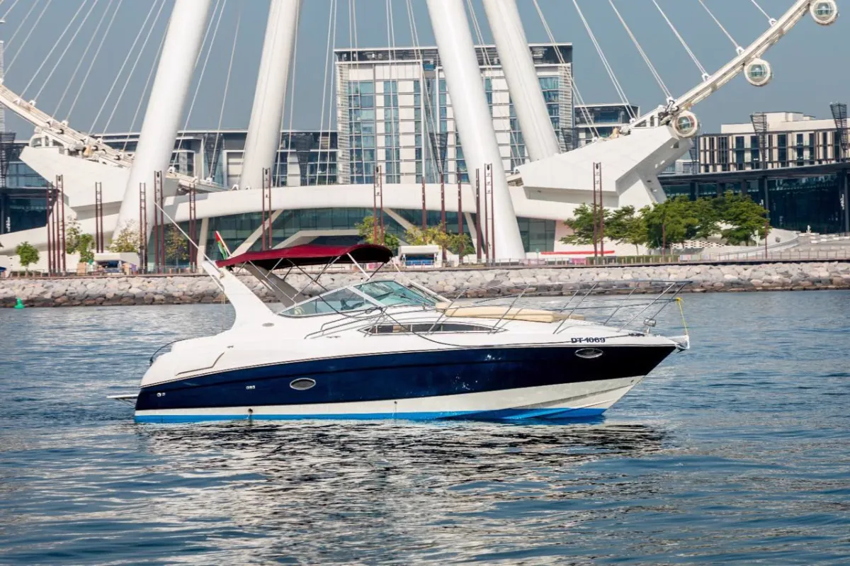 Pulsar 33